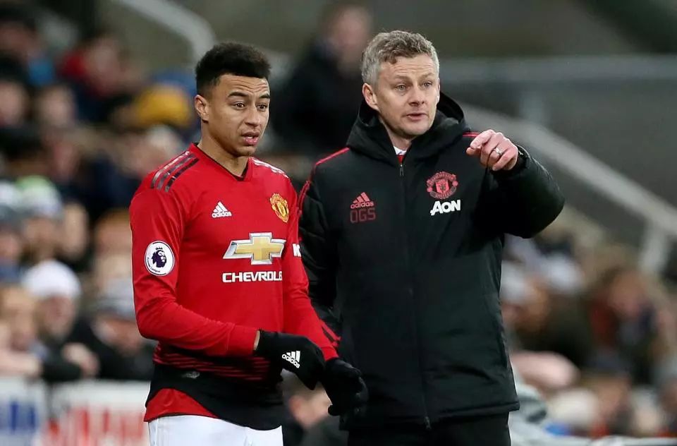 梅里诺即将 梅里诺即将